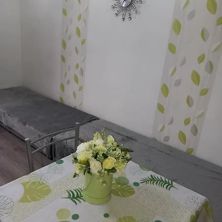 Lotus -obnovena Veľký Meder