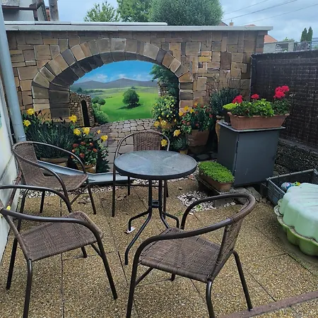 Lotus -obnovena Daire